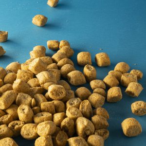 Whole grain croutons